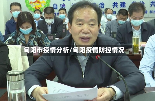 旬阳市疫情分析/旬阳疫情防控情况-第2张图片