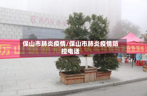 保山市肺炎疫情/保山市肺炎疫情防控电话-第3张图片