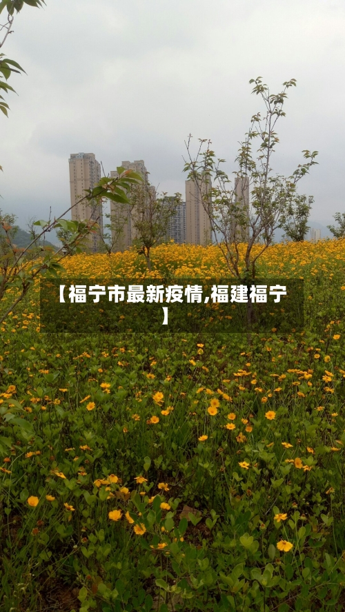 【福宁市最新疫情,福建福宁】