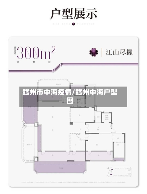赣州市中海疫情/赣州中海户型图-第3张图片