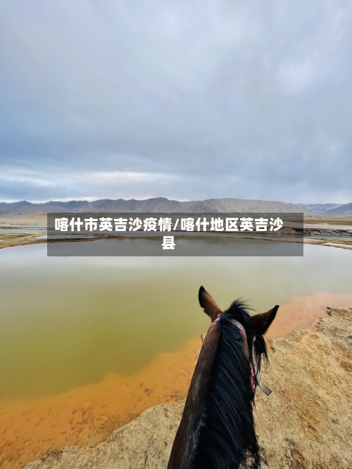 喀什市英吉沙疫情/喀什地区英吉沙县