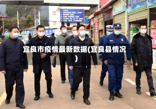 宜良市疫情最新数据(宜良县情况)