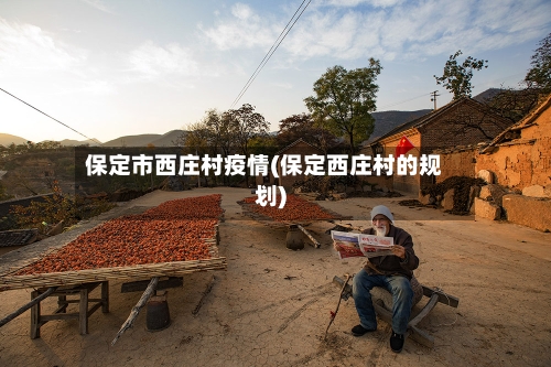保定市西庄村疫情(保定西庄村的规划)