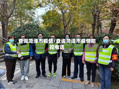 查询菏泽市疫情/查询菏泽市疫情防控电话-第2张图片
