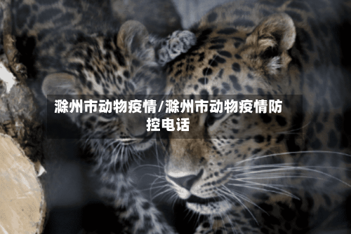 滁州市动物疫情/滁州市动物疫情防控电话-第3张图片