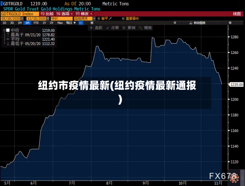 纽约市疫情最新(纽约疫情最新通报)