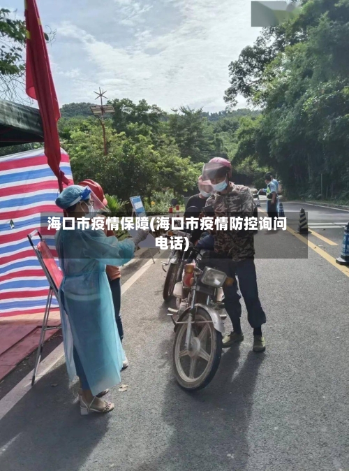 海口市疫情保障(海口市疫情防控询问电话)-第2张图片
