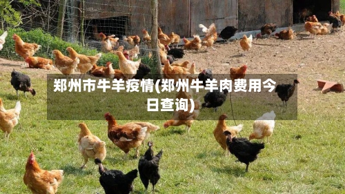 郑州市牛羊疫情(郑州牛羊肉费用今日查询)