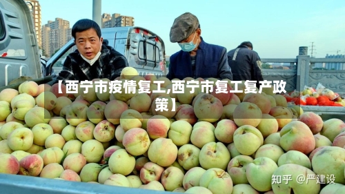【西宁市疫情复工,西宁市复工复产政策】-第3张图片