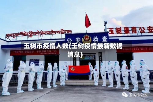 玉树市疫情人数(玉树疫情最新数据消息)-第2张图片