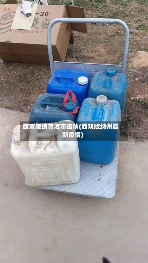 西双版纳普洱市疫情(西双版纳州最新疫情)