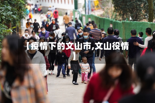 【疫情下的文山市,文山役情】-第3张图片