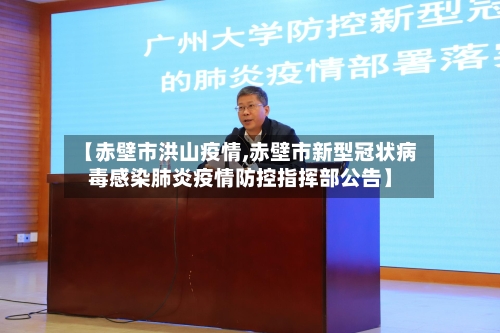 【赤壁市洪山疫情,赤壁市新型冠状病毒感染肺炎疫情防控指挥部公告】-第2张图片