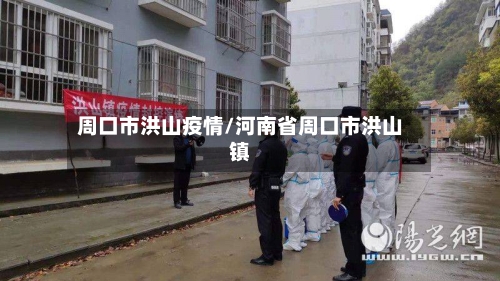 周口市洪山疫情/河南省周口市洪山镇