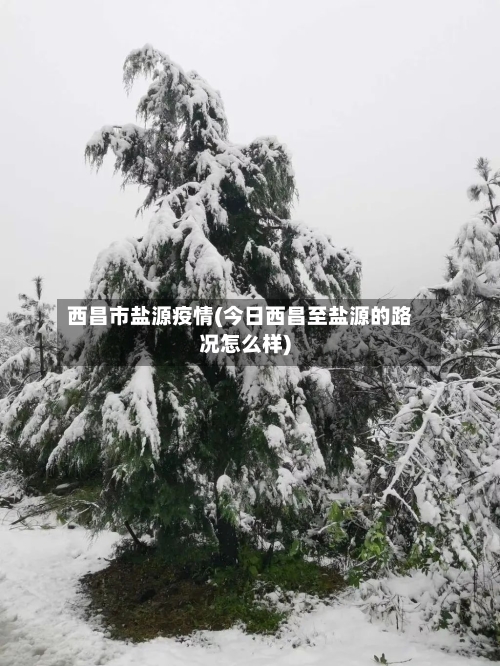 西昌市盐源疫情(今日西昌至盐源的路况怎么样)