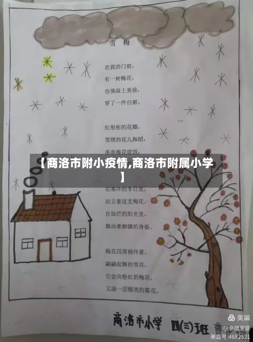 【商洛市附小疫情,商洛市附属小学】-第2张图片