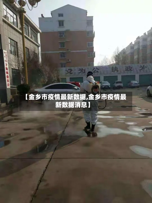 【金乡市疫情最新数据,金乡市疫情最新数据消息】-第2张图片