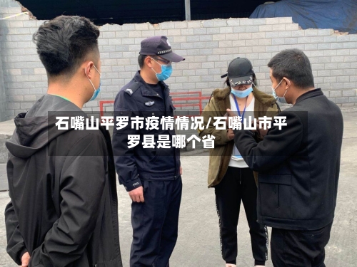 石嘴山平罗市疫情情况/石嘴山市平罗县是哪个省-第2张图片
