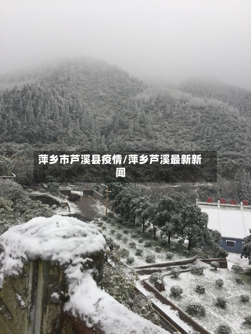 萍乡市芦溪县疫情/萍乡芦溪最新新闻