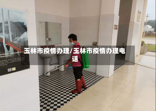 玉林市疫情办理/玉林市疫情办理电话-第3张图片