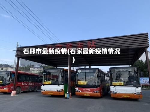 石邢市最新疫情(石家最新疫情情况)