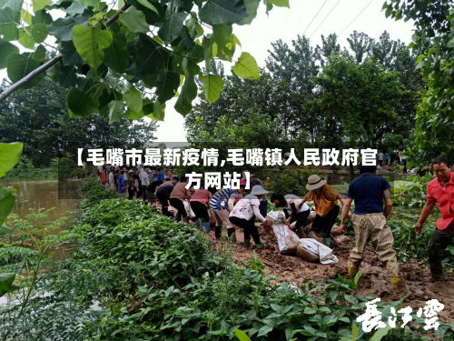 【毛嘴市最新疫情,毛嘴镇人民政府官方网站】-第2张图片