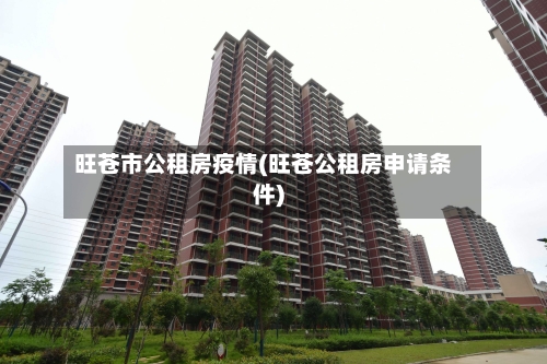 旺苍市公租房疫情(旺苍公租房申请条件)