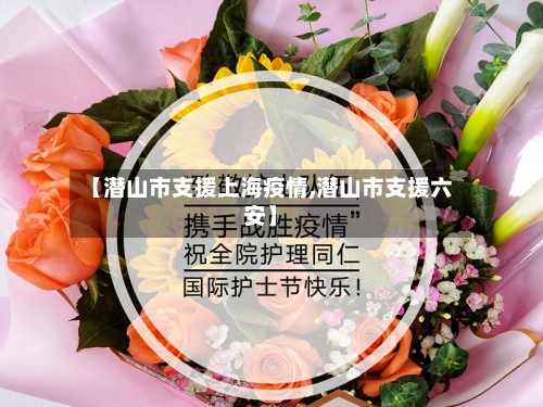 【潜山市支援上海疫情,潜山市支援六安】-第3张图片