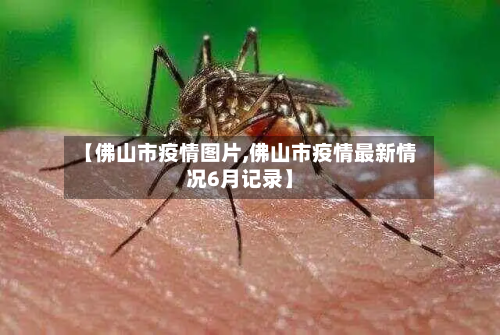 【佛山市疫情图片,佛山市疫情最新情况6月记录】-第3张图片