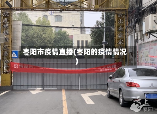 枣阳市疫情直播(枣阳的疫情情况)-第2张图片