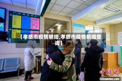 【孝感市疫情明细,孝感市疫情明细查询】-第2张图片