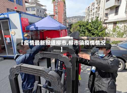 【疫情最新报道柳市,柳市镇疫情情况】