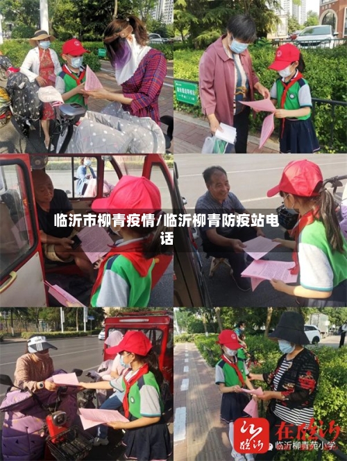 临沂市柳青疫情/临沂柳青防疫站电话