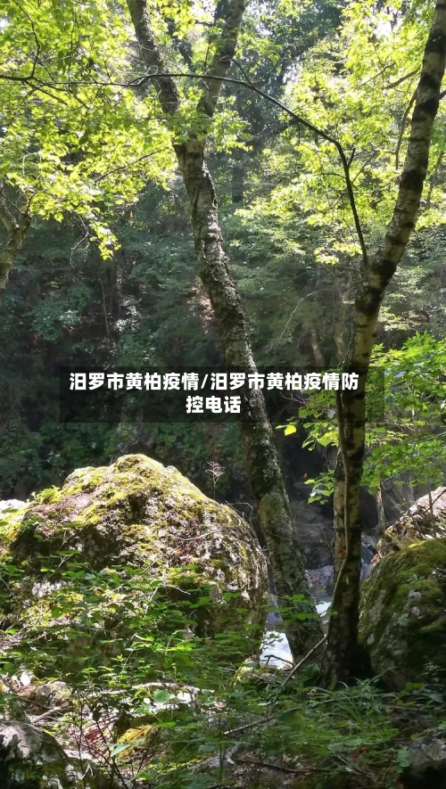 汨罗市黄柏疫情/汨罗市黄柏疫情防控电话