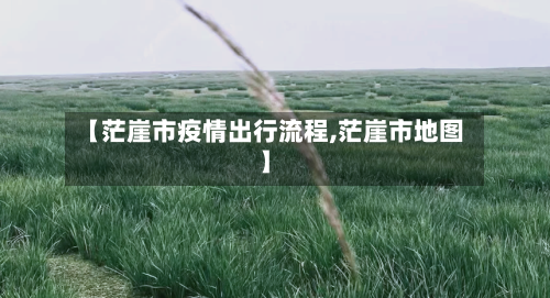 【茫崖市疫情出行流程,茫崖市地图】-第3张图片