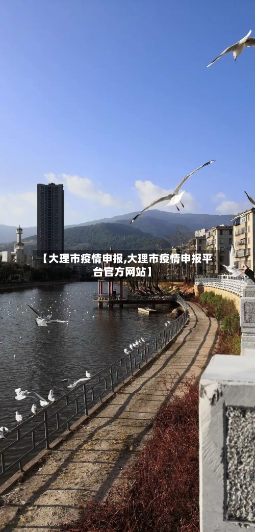 【大理市疫情申报,大理市疫情申报平台官方网站】