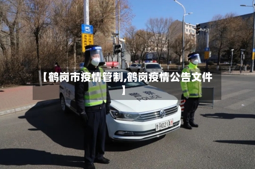 【鹤岗市疫情管制,鹤岗疫情公告文件】-第3张图片