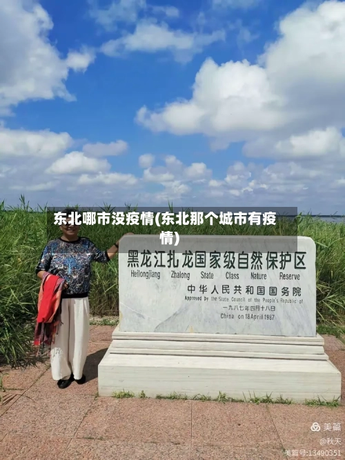 东北哪市没疫情(东北那个城市有疫情)-第2张图片