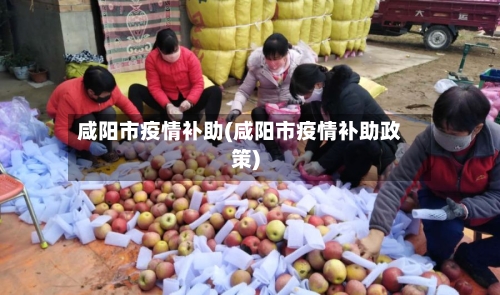 咸阳市疫情补助(咸阳市疫情补助政策)-第3张图片