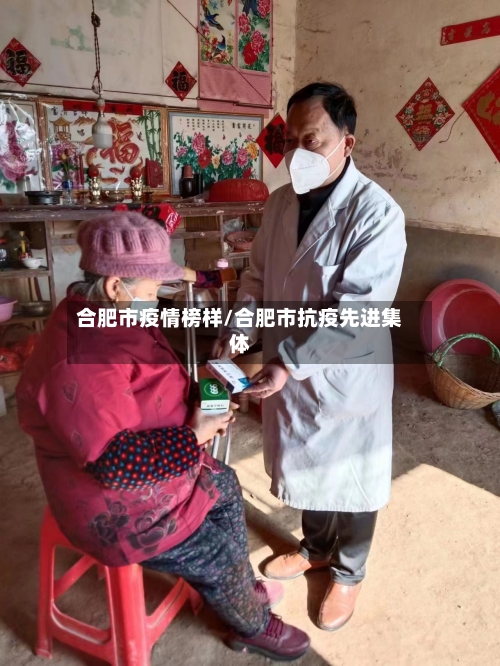 合肥市疫情榜样/合肥市抗疫先进集体