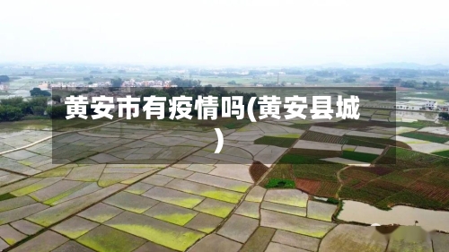 黄安市有疫情吗(黄安县城)