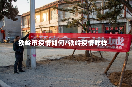 铁岭市疫情如何/铁岭疫情咋样-第3张图片