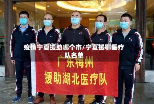 疫情宁夏援助哪个市/宁夏援鄂医疗队名单-第2张图片