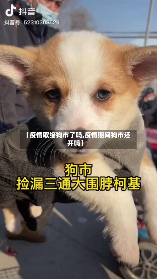 【疫情取缔狗市了吗,疫情期间狗市还开吗】