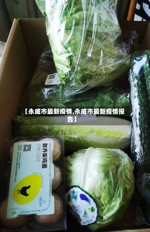 【永威市最新疫情,永威市最新疫情报告】-第2张图片