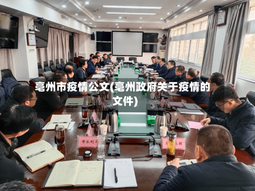 亳州市疫情公文(亳州政府关于疫情的文件)-第3张图片