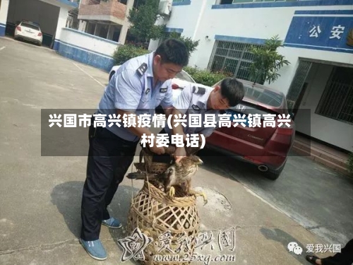 兴国市高兴镇疫情(兴国县高兴镇高兴村委电话)