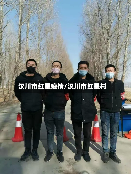 汉川市红星疫情/汉川市红星村-第2张图片