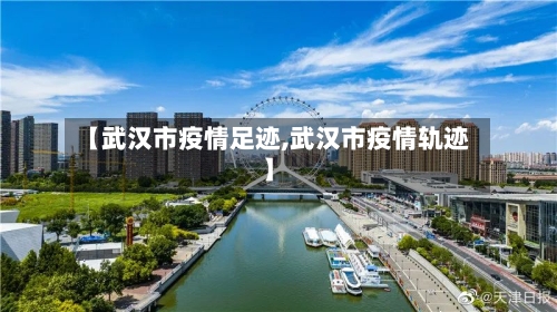 【武汉市疫情足迹,武汉市疫情轨迹】-第3张图片