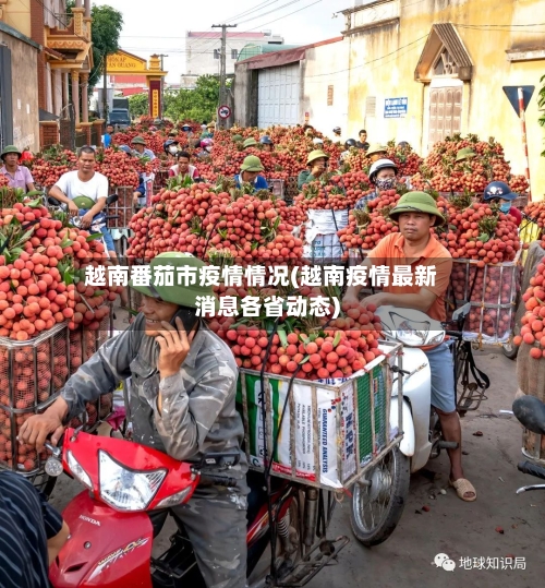 越南番茄市疫情情况(越南疫情最新消息各省动态)